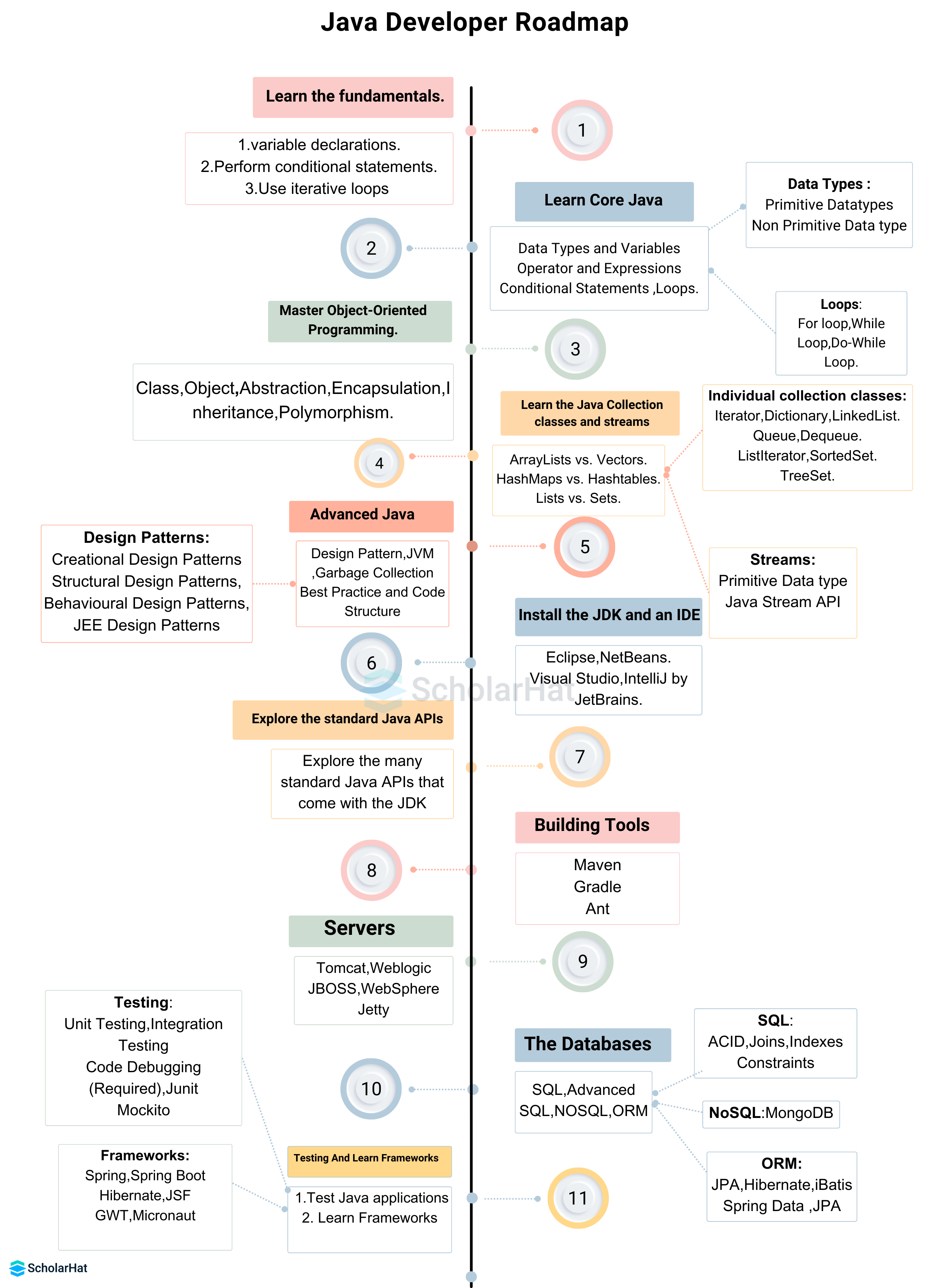 Best Programming Roadmap for Freshers to Get a Job in IT